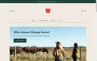 Chicagogame.us Screenshot 2024-05-05 13:13:18