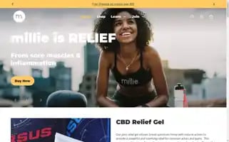 Millierelief.com Screenshot 2024-05-02 03:49:07