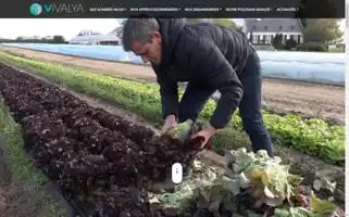 Vivalya-reseau.com Screenshot 2024-07-09 18:50:56