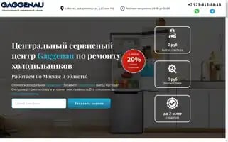 Ice-gagenau.ru Screenshot 2024-05-21 12:13:35