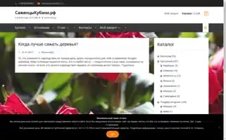 Xn--80aacpeplxd6a1a8a6d.xn--p1ai Screenshot 2024-05-21 04:18:41