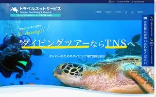 Tns-travel.com Screenshot 2024-04-18 11:16:16