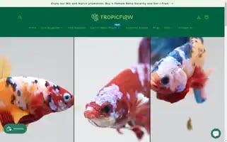 Tropicflow.com Screenshot 2024-04-27 15:52:46