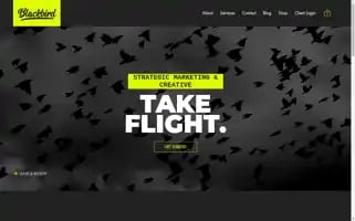 Thisisblackbird.com Screenshot 2024-07-05 00:09:08