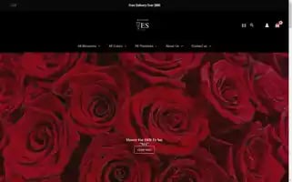 Blossomyes.com Screenshot 2024-05-24 05:39:42
