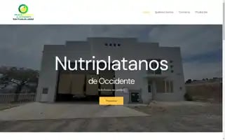 Nutriplatanos.com Screenshot 2024-04-17 11:05:48