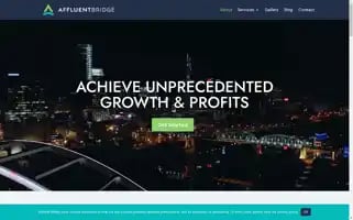 Affluentbridge.com Screenshot 2024-07-05 05:24:03
