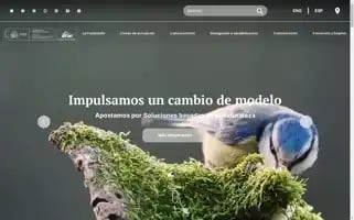 Fundacion-biodiversidad.es Screenshot 2024-06-18 02:25:39