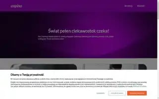 Copino.pl Screenshot 2024-06-18 11:10:26