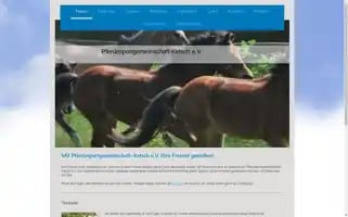 Pferdesportgemeinschaft-ketsch.de Screenshot 2024-06-14 13:46:00