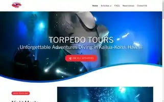 Torpedotours.com Screenshot 2024-04-17 04:54:18