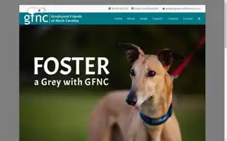 Greyhoundfriends.com Screenshot 2024-06-12 18:07:22