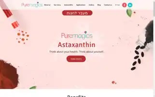 Puremagics.com Screenshot 2024-04-11 17:09:29