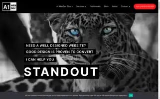 A1webdev.com Screenshot 2024-06-30 21:25:08