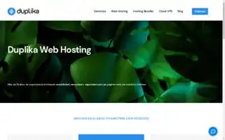 Duplika.com Screenshot 2024-06-16 03:51:08