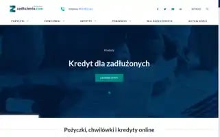Zadluzenia.com Screenshot 2024-07-04 08:35:43