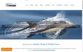 Atlanticwhaleandwildlifetours.com Screenshot 2024-04-17 15:27:13
