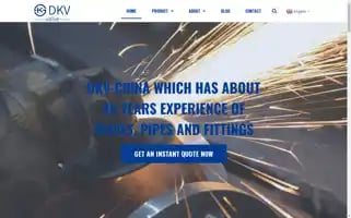 Dkvchina.com Screenshot 2024-06-27 18:32:11