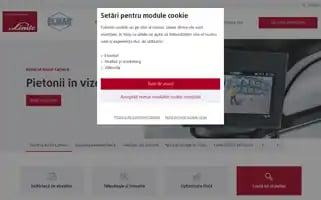 Stivuitoare.ro Screenshot 2024-06-30 09:18:19