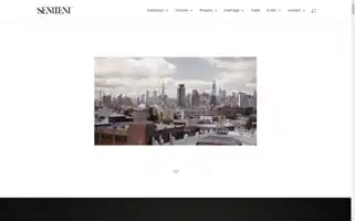 Sentientfurniture.com Screenshot 2024-05-13 21:18:44