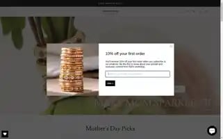 Reinsteinross.com Screenshot 2024-05-04 19:34:03