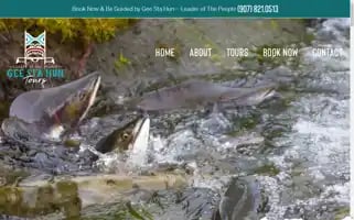 Geestahuntours.com Screenshot 2024-04-14 19:28:00