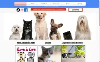 Fspca.org Screenshot 2024-07-01 11:30:08