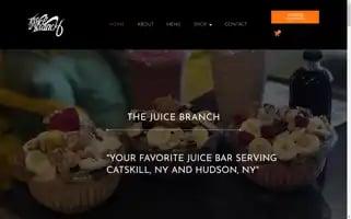 Thejuicebranch.com Screenshot 2024-06-11 20:12:24