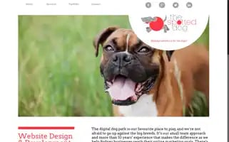 Thespotteddog.com.au Screenshot 2024-06-29 00:06:40