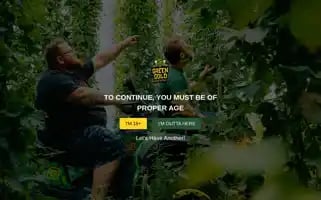 Greengoldbrewing.com Screenshot 2024-06-28 02:22:28