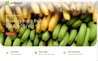 Radjapisang.com Screenshot 2024-05-18 11:43:42