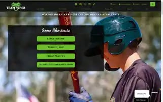 Viperbats.com Screenshot 2024-05-14 21:50:34