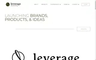 Leverageadvice.com Screenshot 2024-07-02 15:39:30