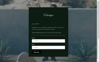 Eclectiquehtx.com Screenshot 2024-05-03 17:06:56