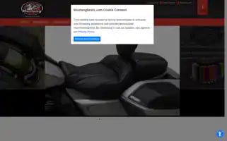 Mustangseats.com Screenshot 2024-05-13 01:14:45