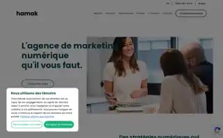 Hamak.ca Screenshot 2024-06-28 01:00:48