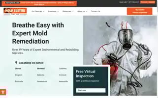 Bustmold.com Screenshot 2024-05-06 01:48:26