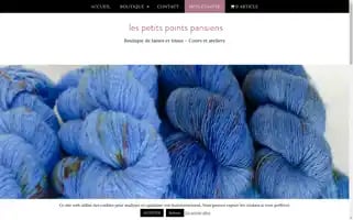 Lespetitspointsparisiens.com Screenshot 2024-06-12 16:54:05