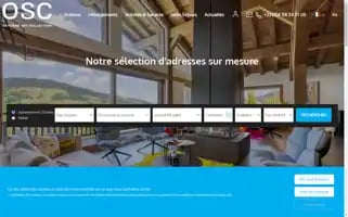 Oxygeneskicollection.com Screenshot 2024-06-27 19:21:34