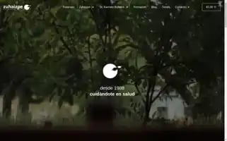 Zuhaizpe.com Screenshot 2024-07-03 15:04:26