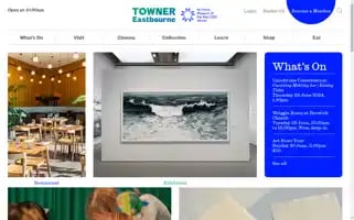 Townereastbourne.org.uk Screenshot 2024-06-17 23:46:41