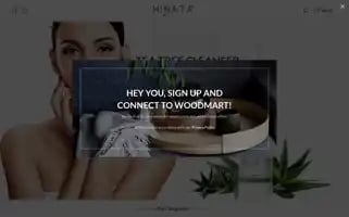 Hinatabeauty.com Screenshot 2024-04-26 05:06:22