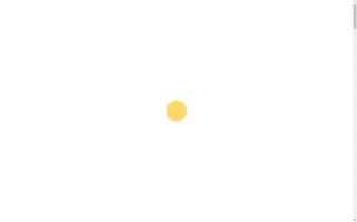 Selcukbayhanltd.com Screenshot 2024-05-23 13:33:57