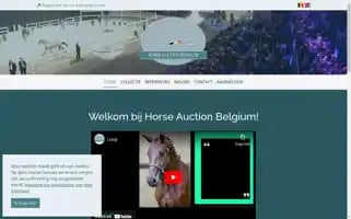 Horseauctionbelgium.com Screenshot 2024-06-28 21:22:59