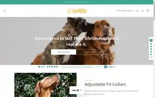Luwello.com Screenshot 2024-05-02 03:51:40