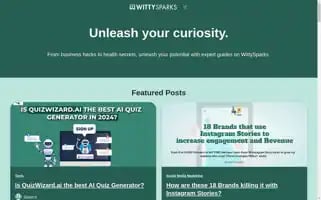 Wittysparks.com Screenshot 2024-05-15 04:24:35