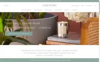 Cochine.com Screenshot 2024-05-05 20:56:03