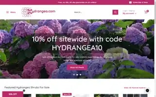 Hydrangea.com Screenshot 2024-05-04 09:29:17