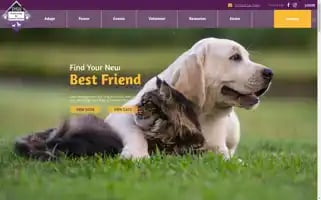 Paw-rescue.org Screenshot 2024-06-30 15:13:37