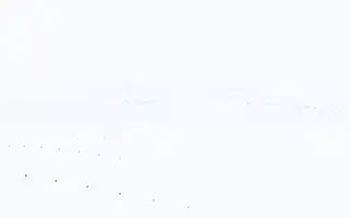 Atiklisans.com Screenshot 2024-07-08 10:35:58